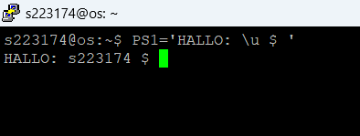 image-20240314232634341