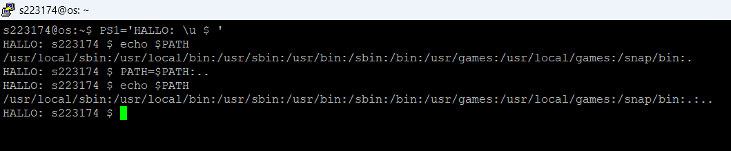 image-20240314232909211