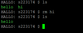 image-20240314234422632