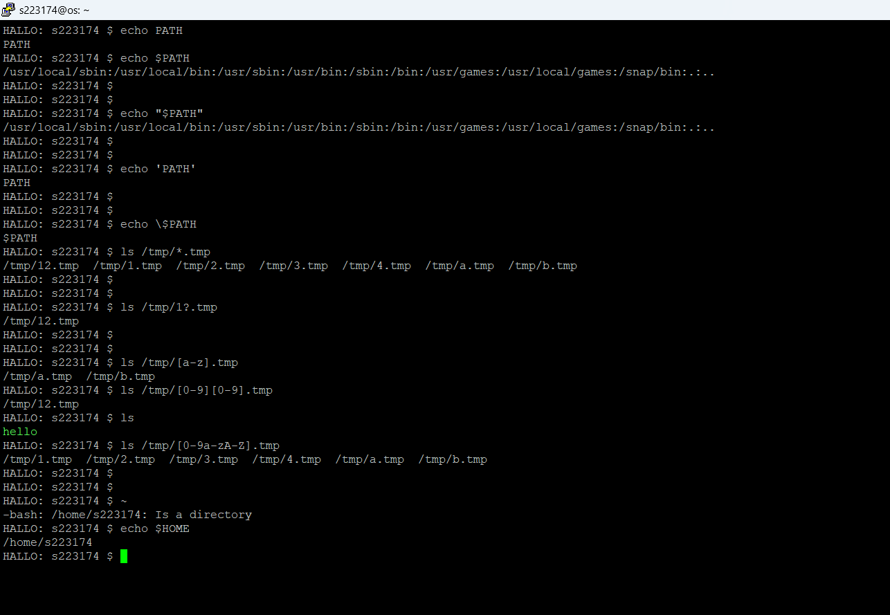 image-20240315000305427