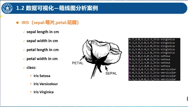 image-20240907194926128