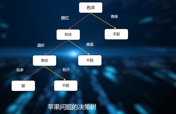 image-20250105202619290